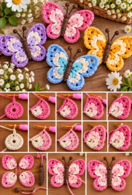 Crochet Spring Butterfly